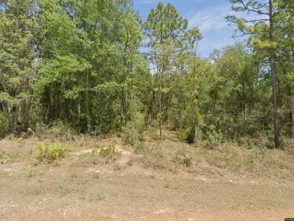 6575 W Pershing Drive, HOMOSASSA, FL 34448