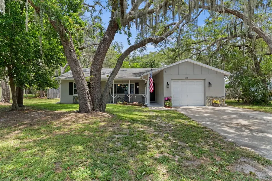 6337 Radford Street, Spring Hill, FL 34606 - #3