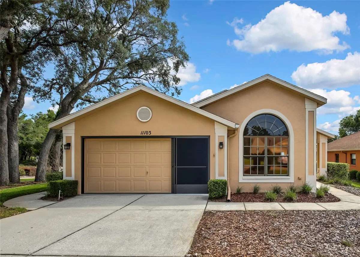 11103 Cherrywood Court, Spring Hill, FL 34609 - #1