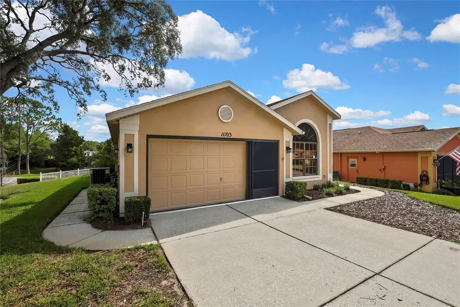 11103 Cherrywood Court, Spring Hill, FL 34609 - #3
