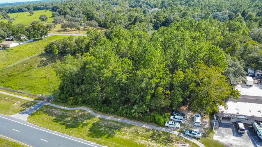 4176 W Gulf To Lake Highway, Lecanto, FL 34461 - #2