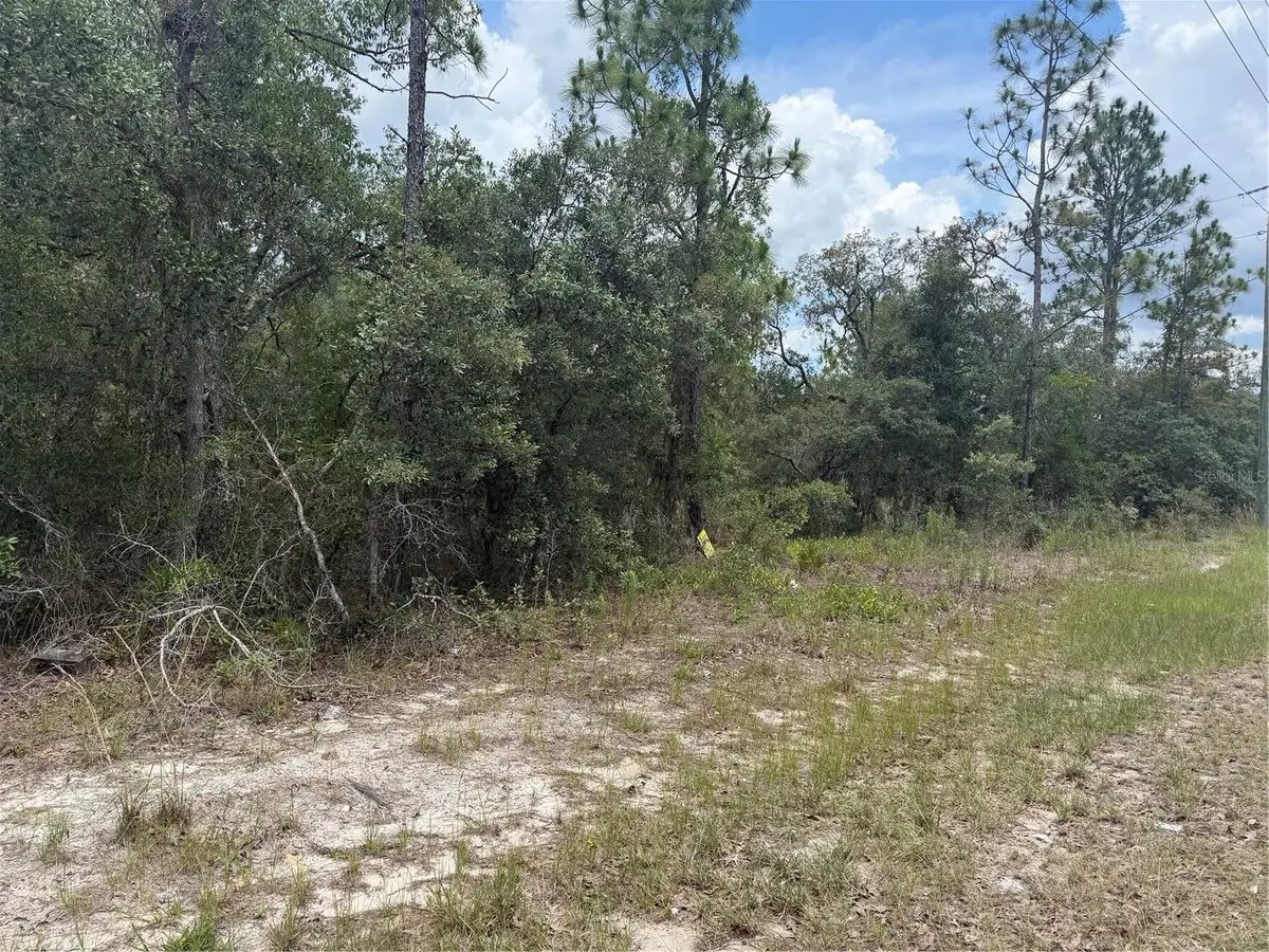 6215 S Premiere Avenue, Homosassa, FL 34446 - #1