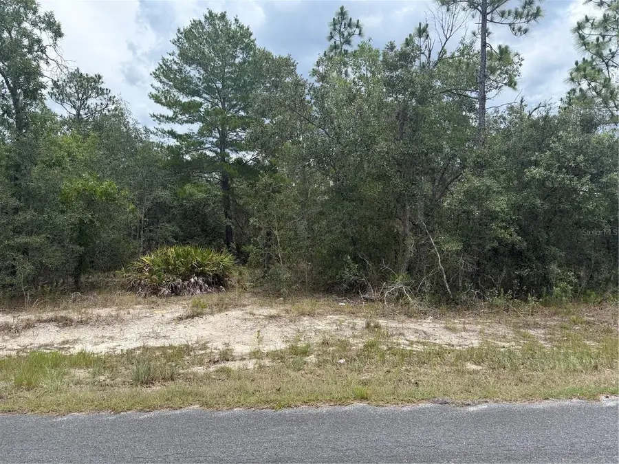 6215 S Premiere Avenue, Homosassa, FL 34446 - #3