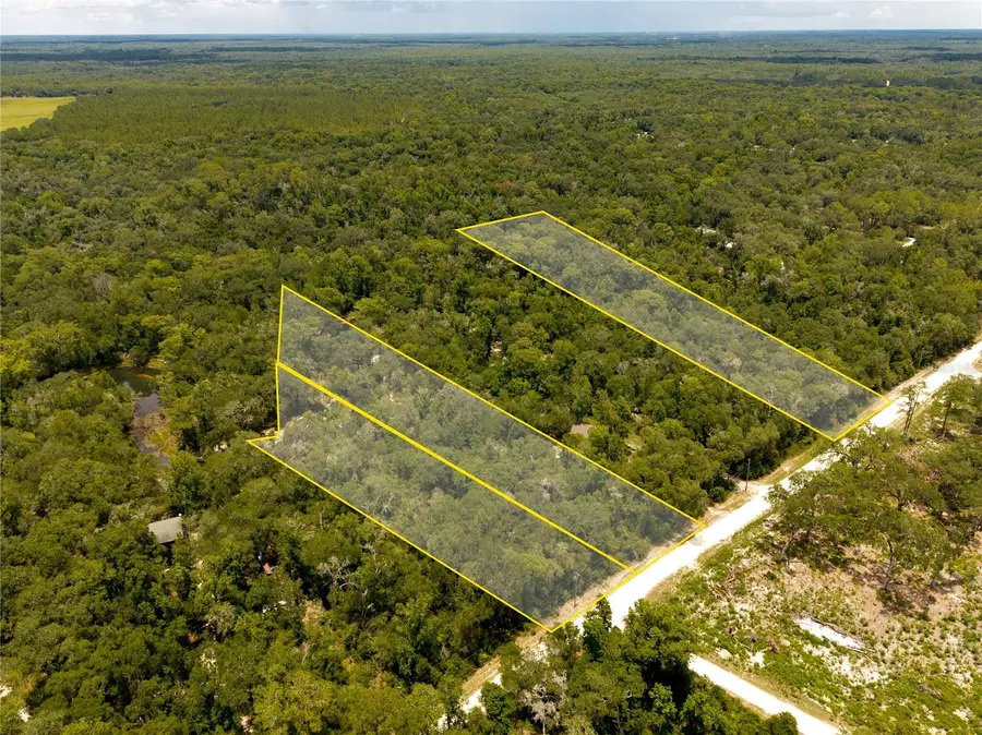 7337 Riverview Drive, Webster, FL 33597 - #2