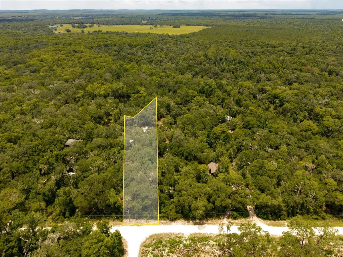 7333 Riverview Drive, Webster, FL 33597 - #1