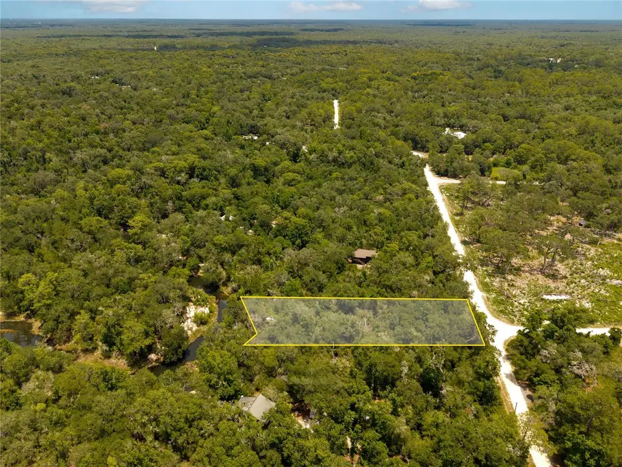 7333 Riverview Drive, Webster, FL 33597 - #3
