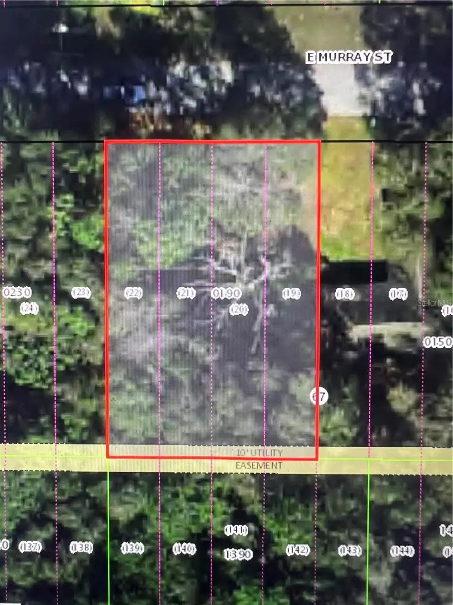 3404 E Murray Street, Inverness, FL 34453 - #2