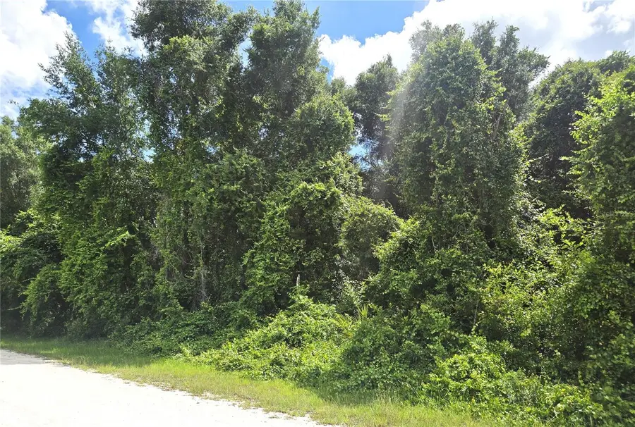 Alloy Street, Webster, FL 33597 - #3