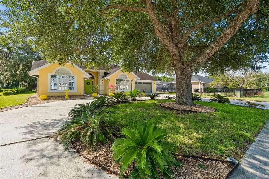 12728 Flamingo Parkway, Spring Hill, FL 34610 - #3