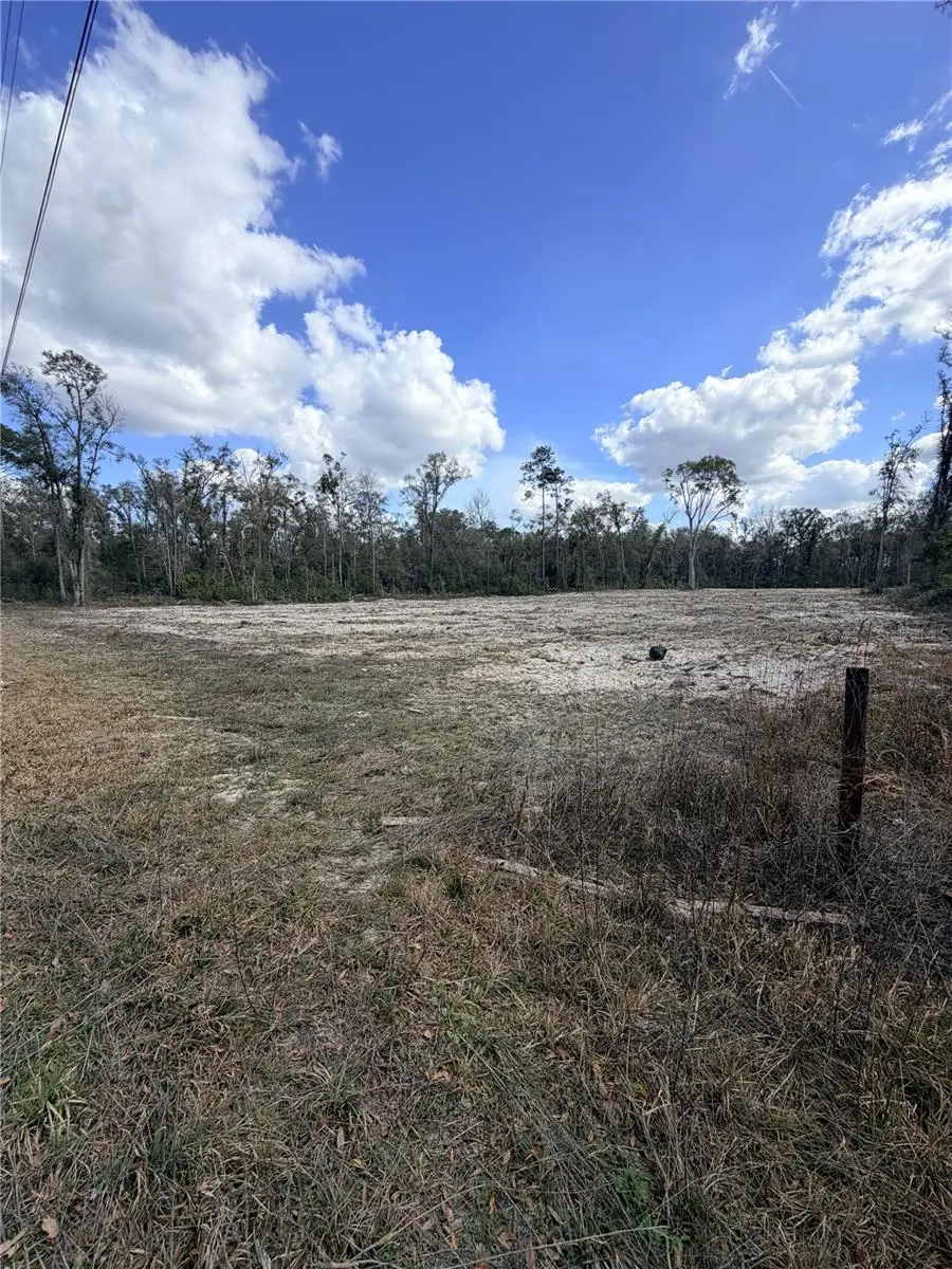 163 NE 159th Avenue, Old Town, FL 32680 - #2