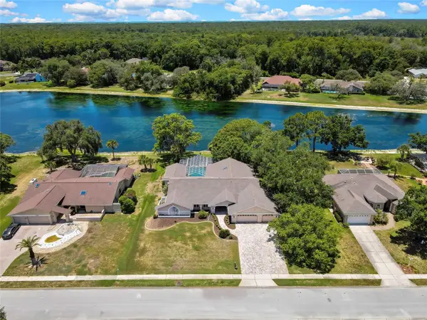 4293 River Birch Drive, SPRING HILL, FL 34607