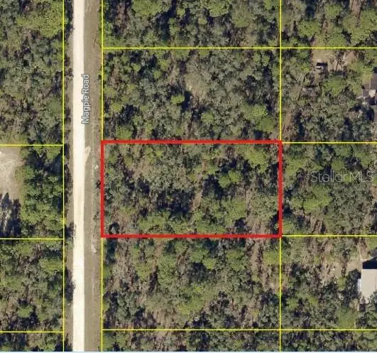 16026 Magpie Road, Weeki Wachee, FL 34614 - #3