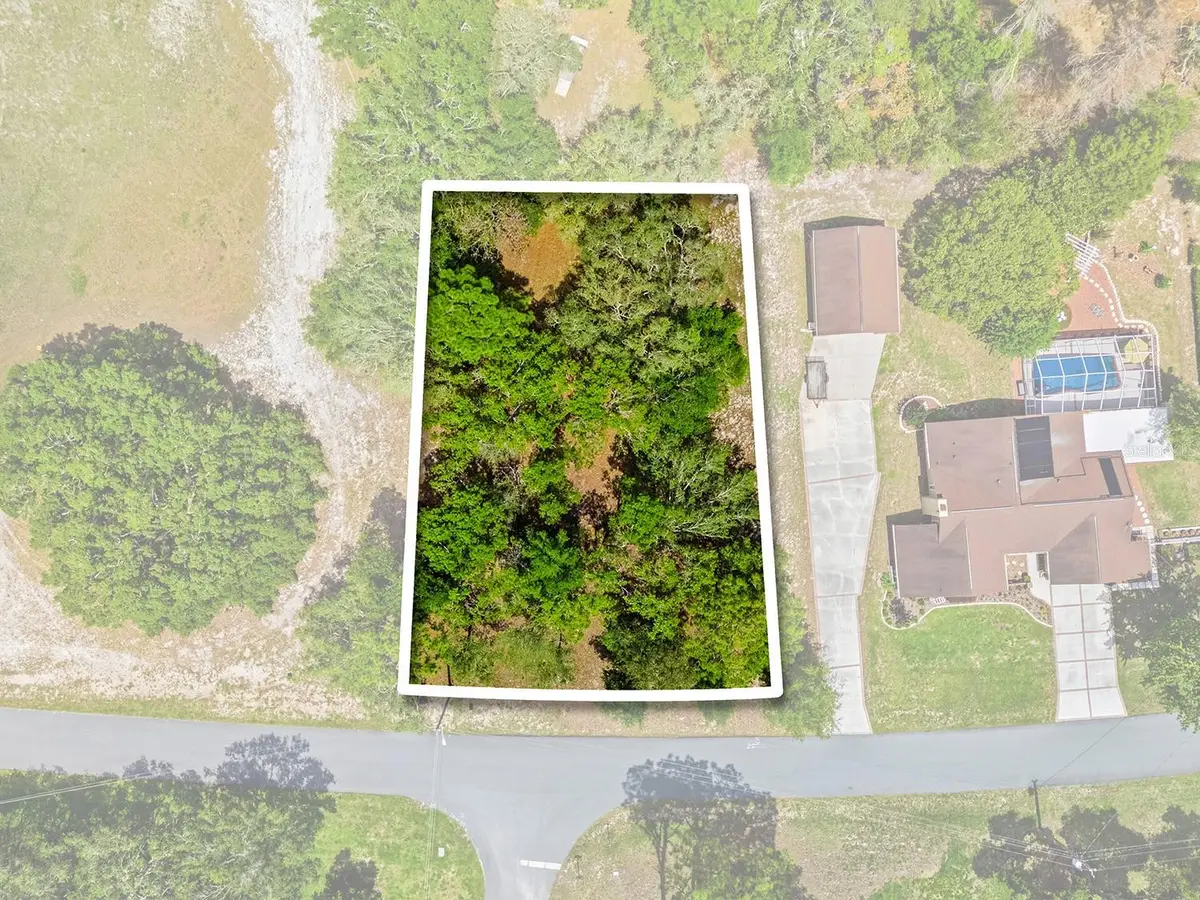 1228 Staten Avenue, Spring Hill, FL 34609 - #1