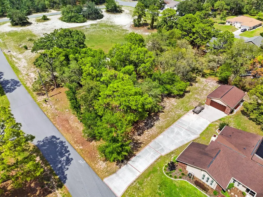 1228 Staten Avenue, Spring Hill, FL 34609 - #3