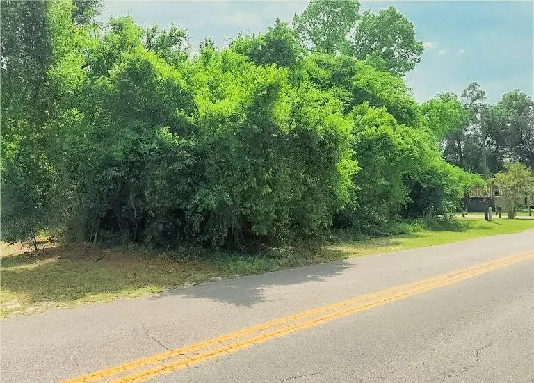 3638 E Delight Street, Hernando, FL 34442 - #2
