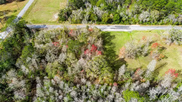 4925 S Morningside Terrace, HOMOSASSA, FL 34446