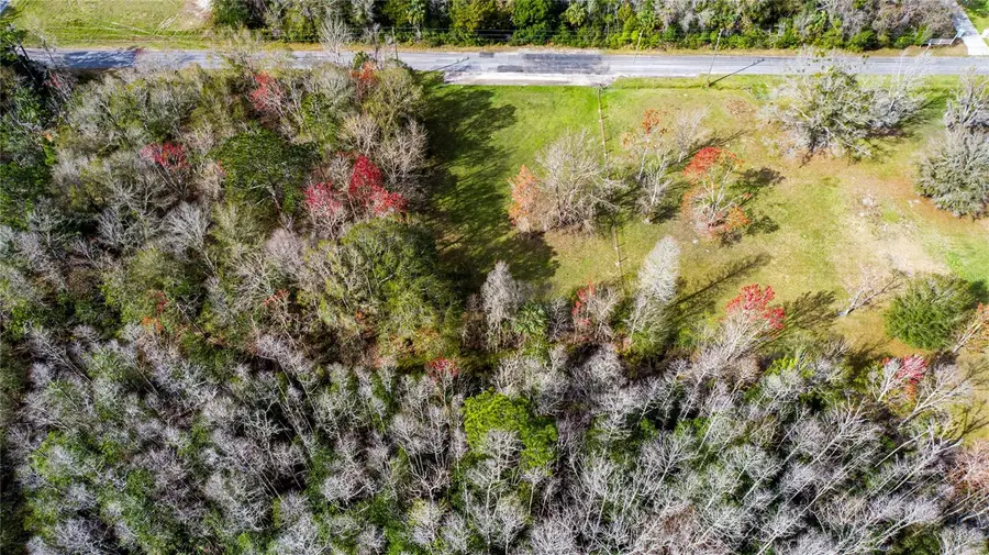 4925 S Morningside Terrace, Homosassa, FL 34446 - #2