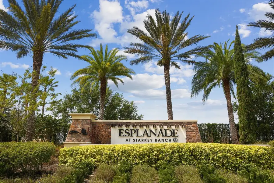 11503 Callisia Drive, Odessa, FL 33556 - #2