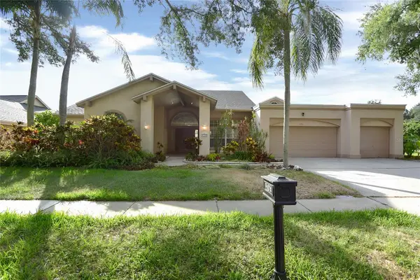 4763 Brayton Terrace N, PALM HARBOR, FL 34685