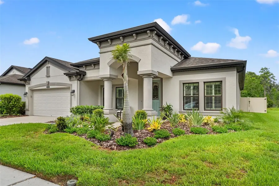 8320 Bluevine Sky Drive, Land O Lakes, FL 34637 - #2