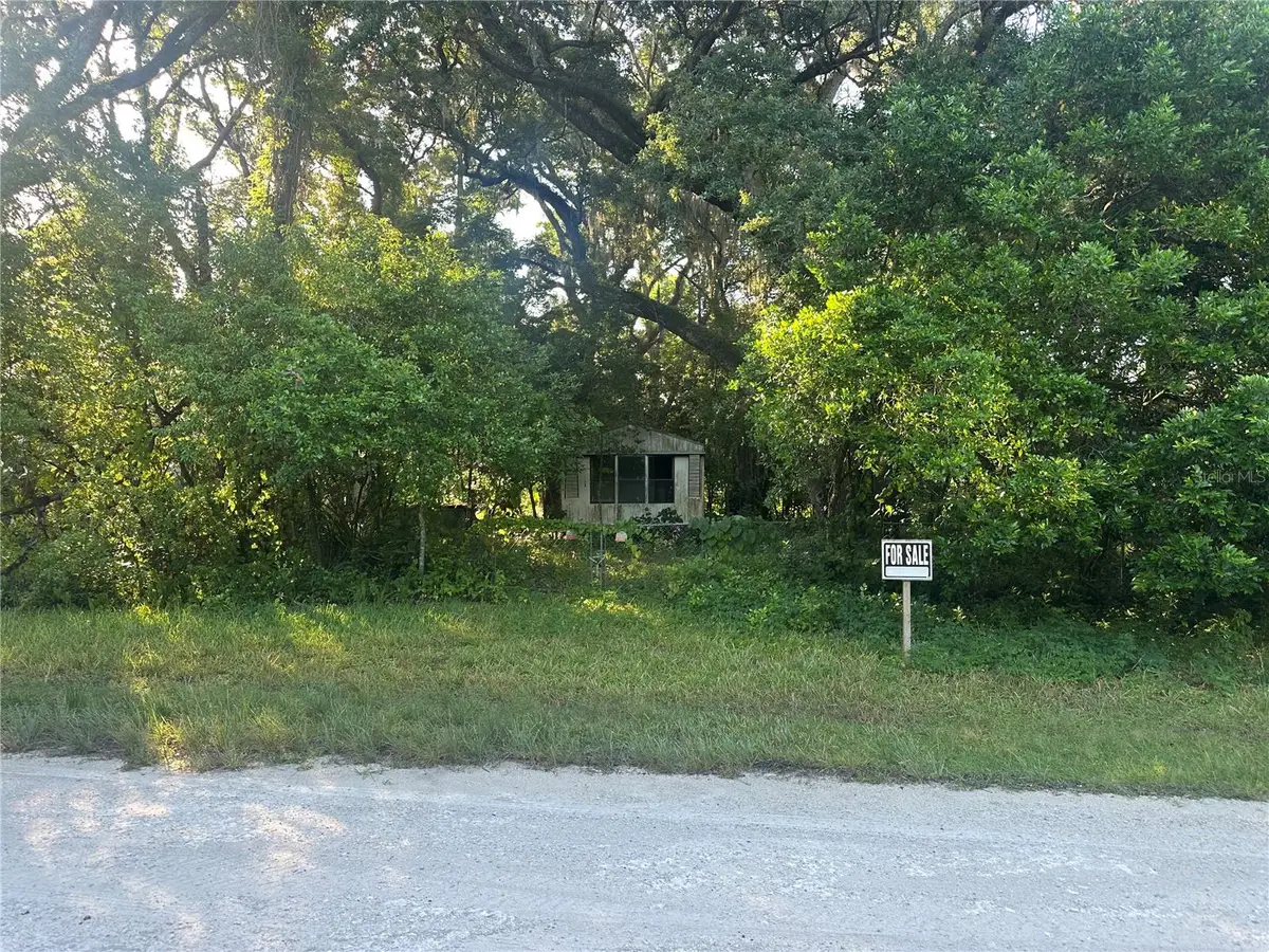 1128 N Jackson Avenue S, Spring Hill, FL 34604 - #1