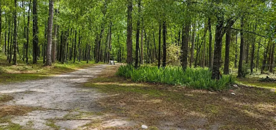 18864 N Highway 329, Micanopy, FL 32667 - #2