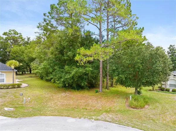17 Woodlee Court S, HOMOSASSA, FL 34446