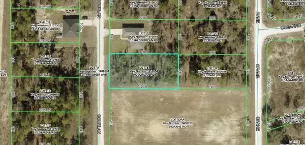 Courlan Road, WEEKI WACHEE, FL 34614