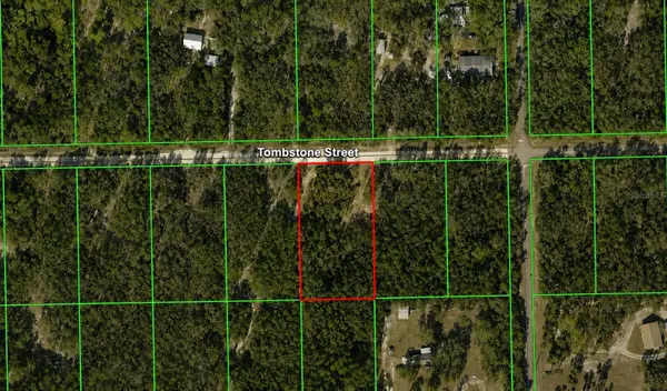 33240 Tombstone Street, WEBSTER, FL 33597