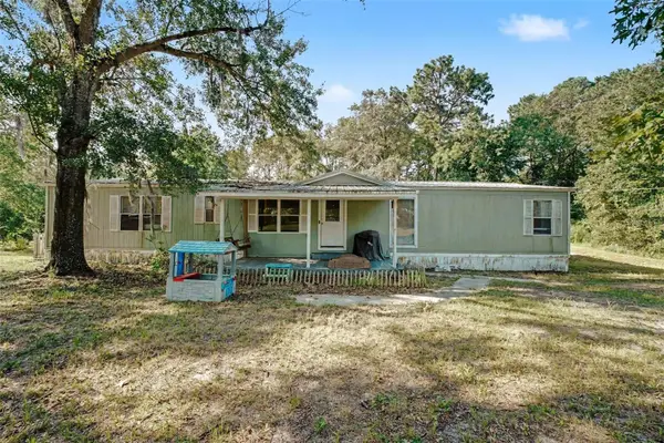 173 Plankton Avenue, MIDDLEBURG, FL 32068