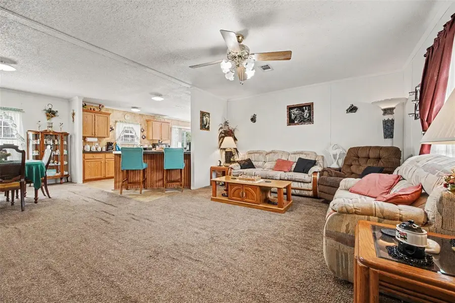 2205 Hibiscus Avenue, Middleburg, FL 32068 - #3