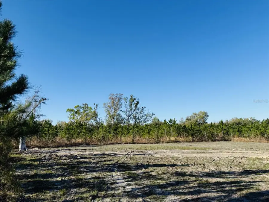 10465 161st Street, Live Oak, FL 32060 - #2
