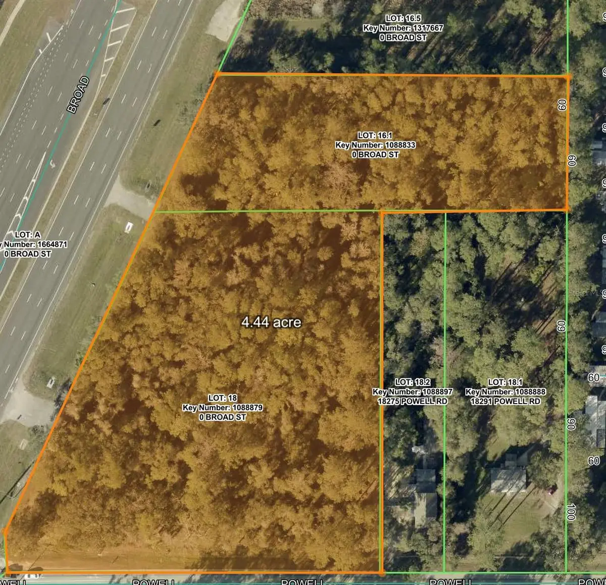 Broad Street, Brooksville, FL 34601 - #1