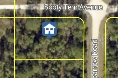 Sooty Tern Avenue, WEEKI WACHEE, FL 34614