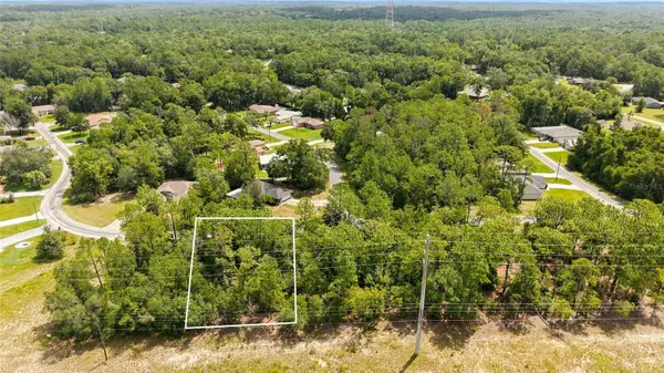 9794 N Cortlandt Drive, CITRUS SPRINGS, FL 34434
