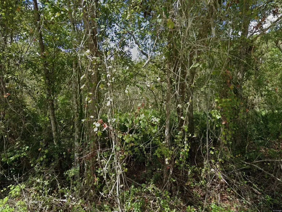 11457 Tulane Street, New Port Richey, FL 34654 - #1