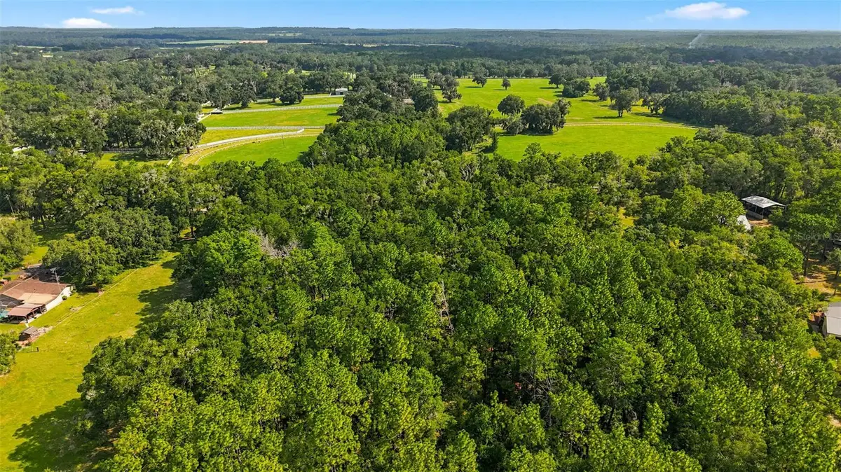 Lonesome Road, Brooksville, FL 34601 - #1