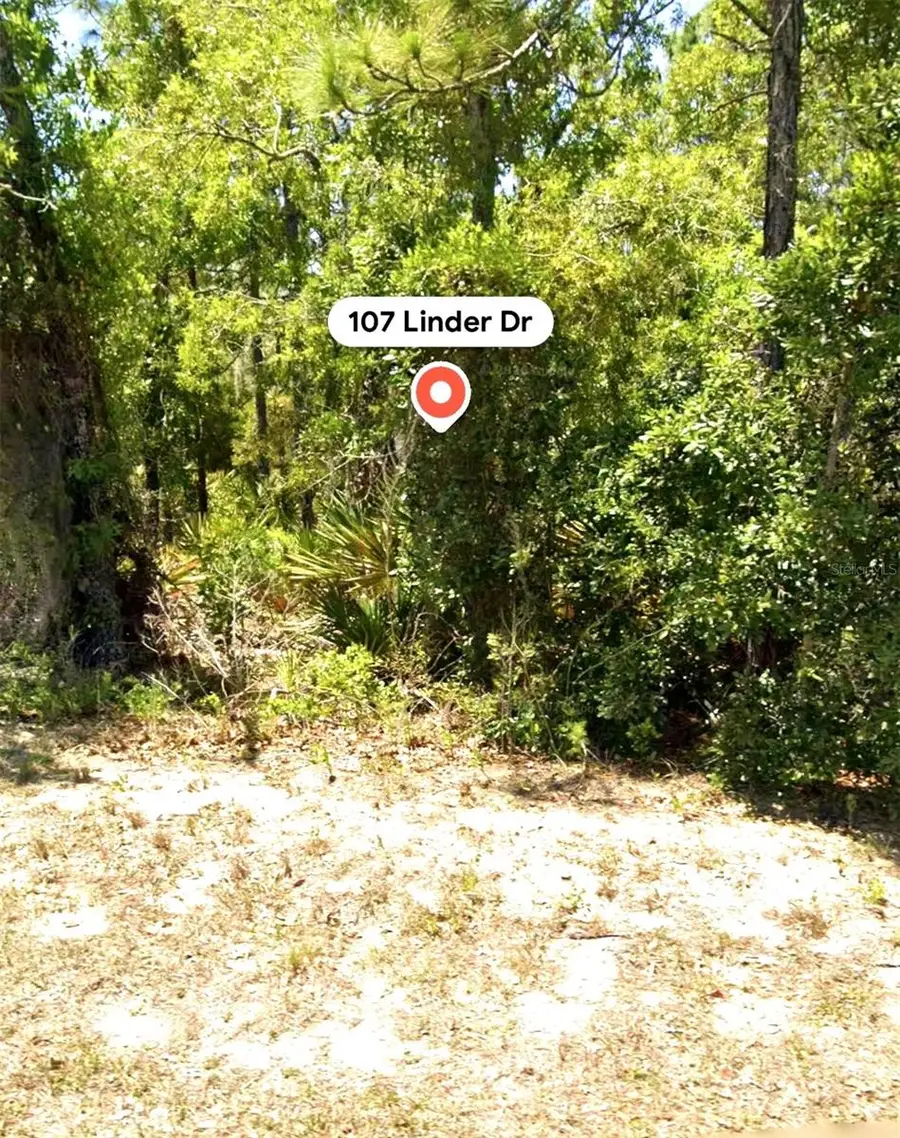 107 Linder Drive, Homosassa, FL 34446 - #2