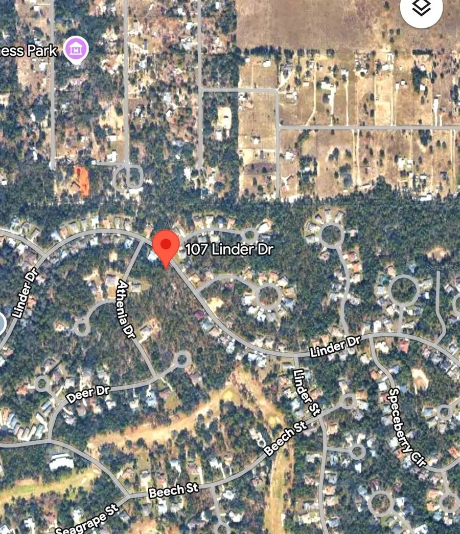 107 Linder Drive, Homosassa, FL 34446 - #3