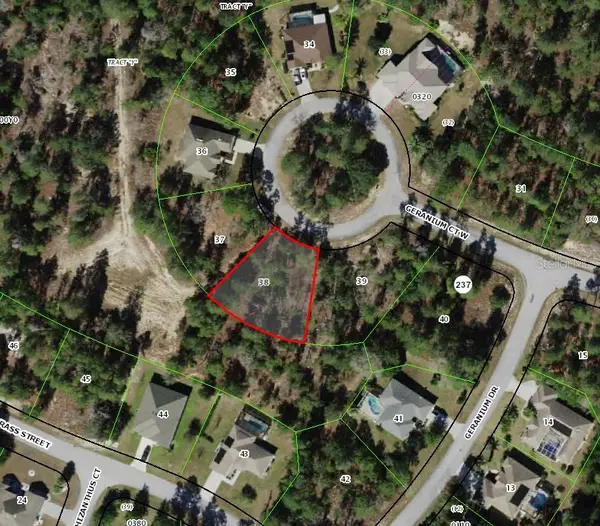 6 Geranium Court W, HOMOSASSA, FL 34446