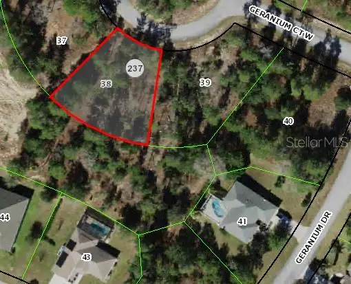6 Geranium Court W, Homosassa, FL 34446 - #2