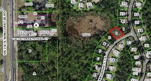 4 Mangrove Court S, Homosassa, FL 34446 - #2