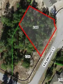 3 Kalanchoe Court, Homosassa, FL 34446 - #1