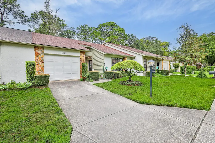 6591 Brambleleaf Drive, Spring Hill, FL 34606 - #3