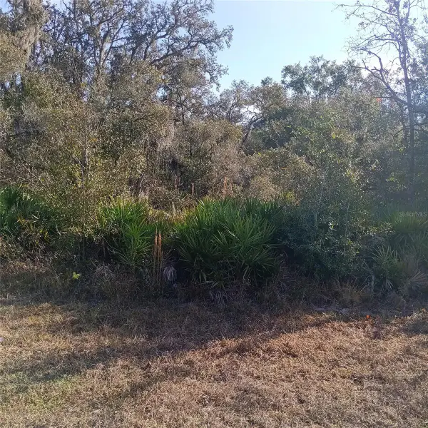 8110 Treiman Boulevard, WEBSTER, FL 33597