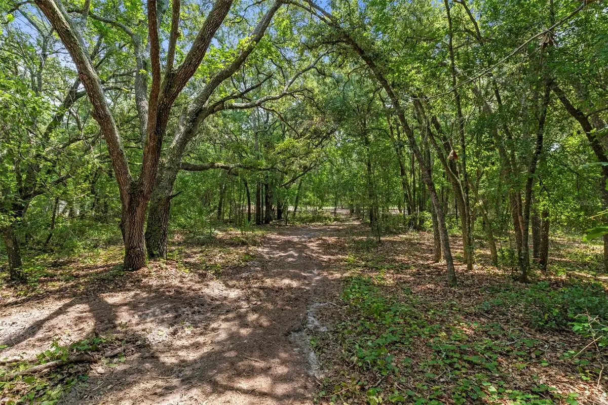 Wheystone Drive, Webster, FL 33597 - #1