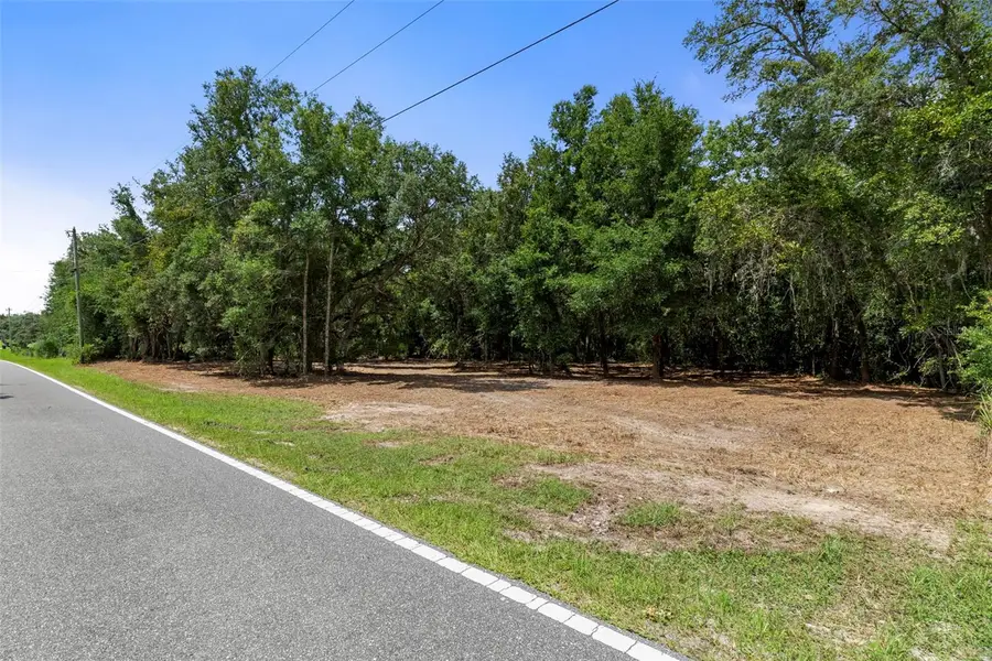 Wheystone Drive, Webster, FL 33597 - #3