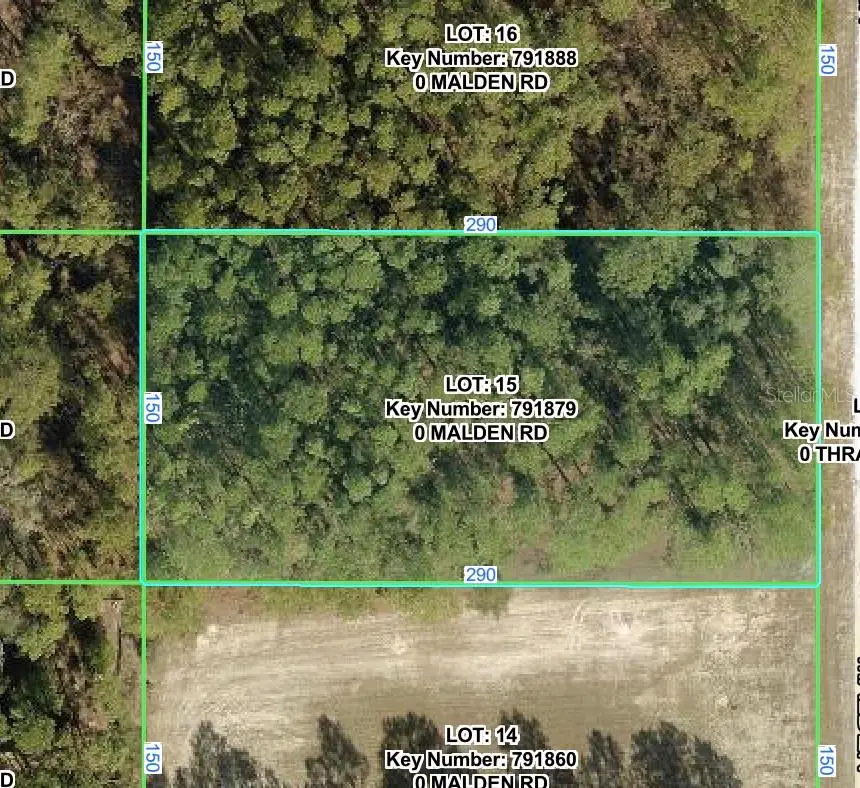 Malden Road, Weeki Wachee, FL 34614 - #1