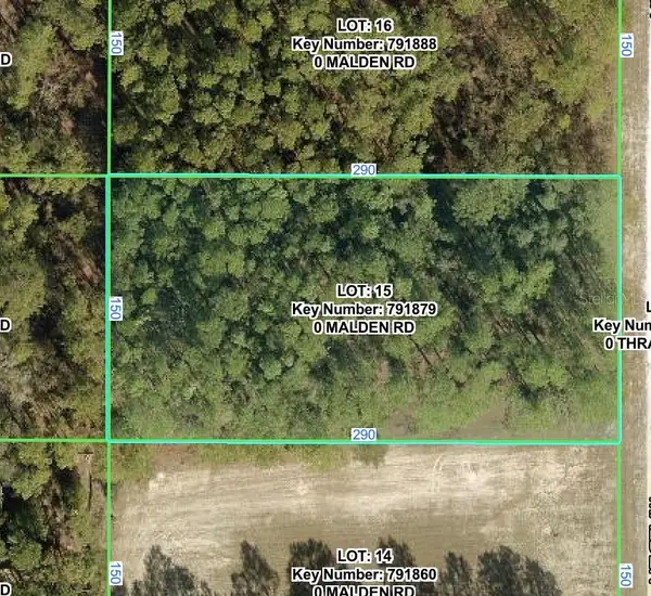 Malden Road, WEEKI WACHEE, FL 34614
