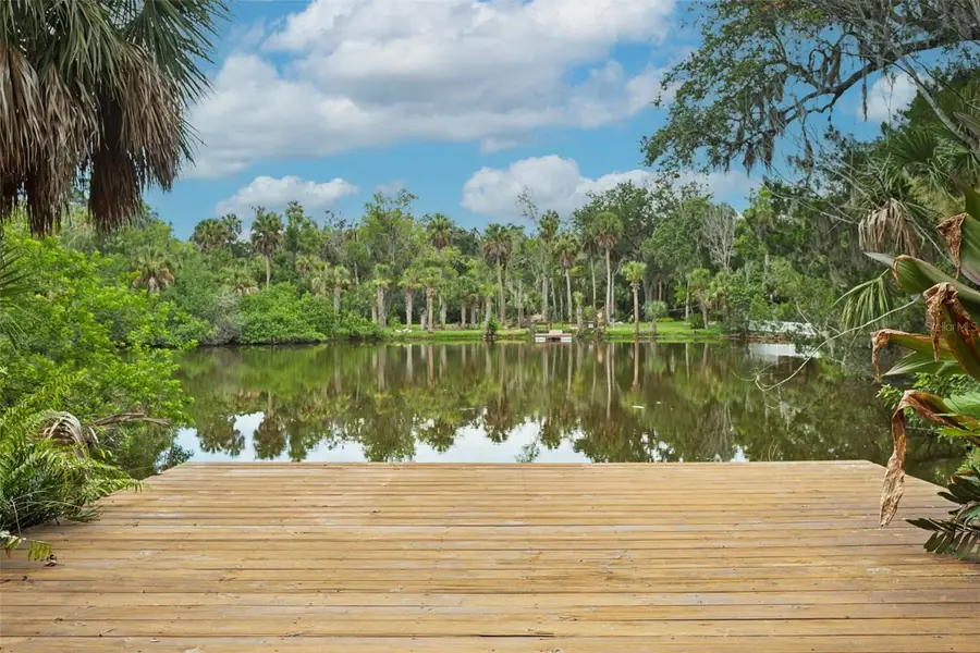 4521 Edith Street, New Port Richey, FL 34652 - #2